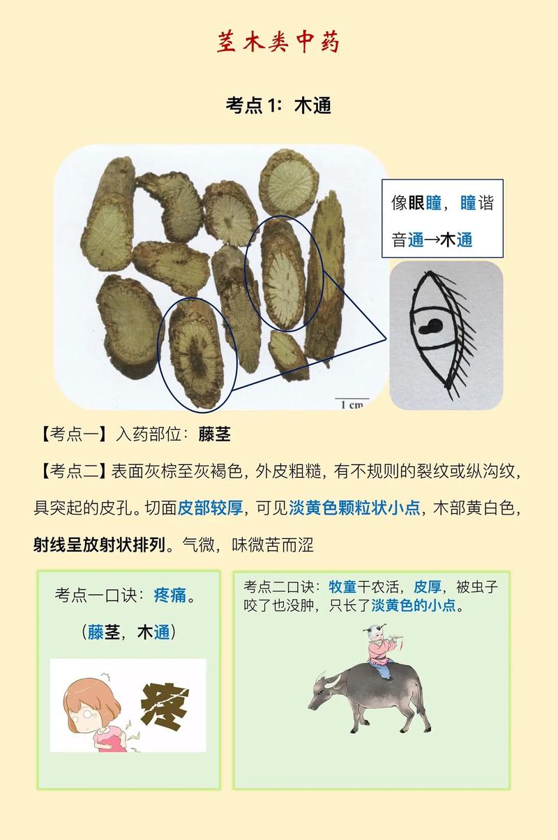 恒悦印度代购希爱力是真的吗？避坑指南与正品鉴别全攻略